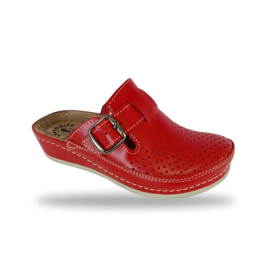 Fratelli Babb anatómiai klumpa D134 Rosso